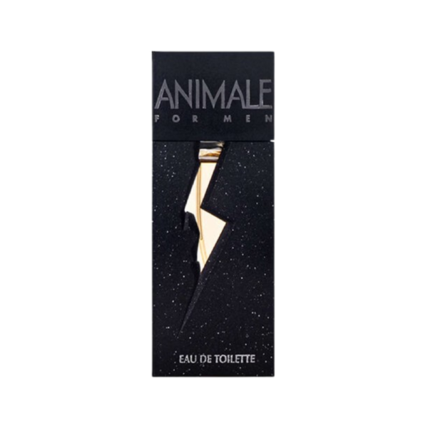 ANIMALE FOR MEN - Image 2
